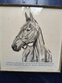 Arkle Framed Drawing/Print
