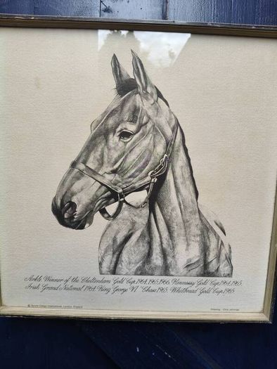 Arkle Framed Drawing/Print