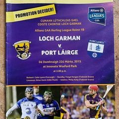 2015 Wexford v Waterford - GAA Allianz Hurling League Programme