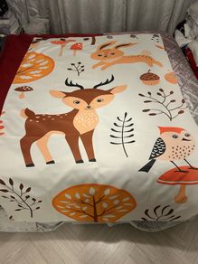 2 Kids Curtains
