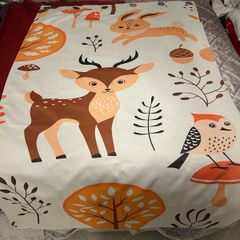 2 Kids Curtains