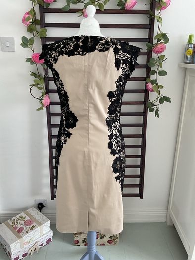 dress occasion brand comma size 12 beige with black lace