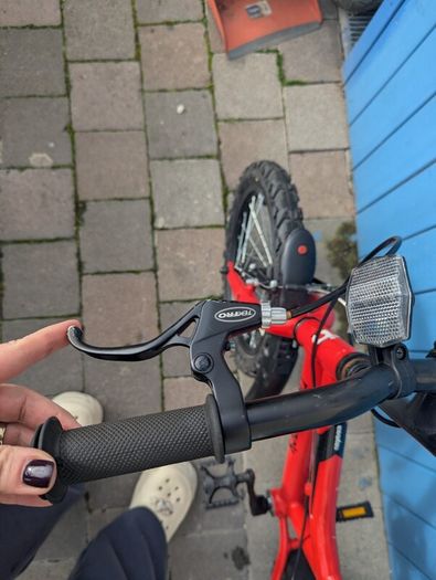 Ridgeback MX16 kids bike