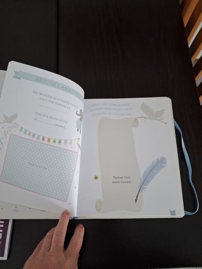 Baby Boy Record Book