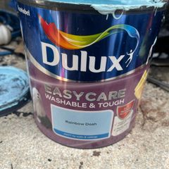 paint dulux