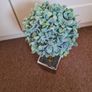 Frosted Faux Eucalyptus Plant Image 2