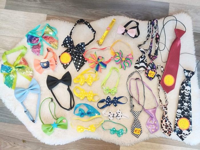 Dog or cat accessories