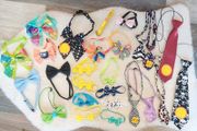 Dog or cat accessories
