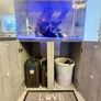 PRICE DROP Aqua spec 280litre with Aqua spec Grey tall stand 2 filters and lights cichlid tank Image 4