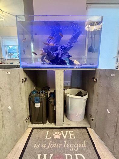 PRICE DROP Aqua spec 280litre with Aqua spec Grey tall stand 2 filters and lights cichlid tank