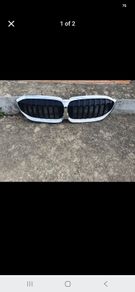 bmw grills