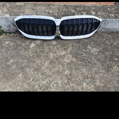 bmw grills