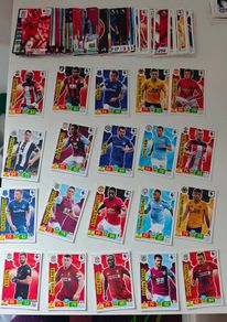 Panini Premier League Cards