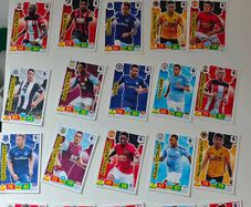 Panini Premier League Cards