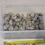 13kg Decorative Plant Pot Topper & Terrarium Stones - 4 Types Image 9