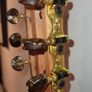 Ortega RGL5EB Guilele + Hard Case Image 9