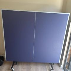 Table Tennis