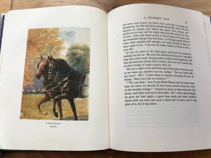 New Black Beauty Book