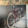 Classic Bike Book with free Gino Bartali paperback Image 5