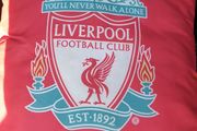 cheap liverpool car cushion pillow