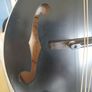 Coostar F5 Mandolin Image 6