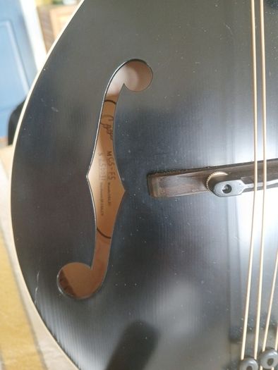 Coostar F5 Mandolin