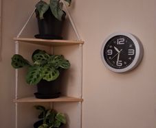 3 tier corner shelf with 3 plants