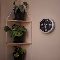 3 tier corner shelf with 3 plants