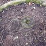 garden and patio water feature or planter Image 3
