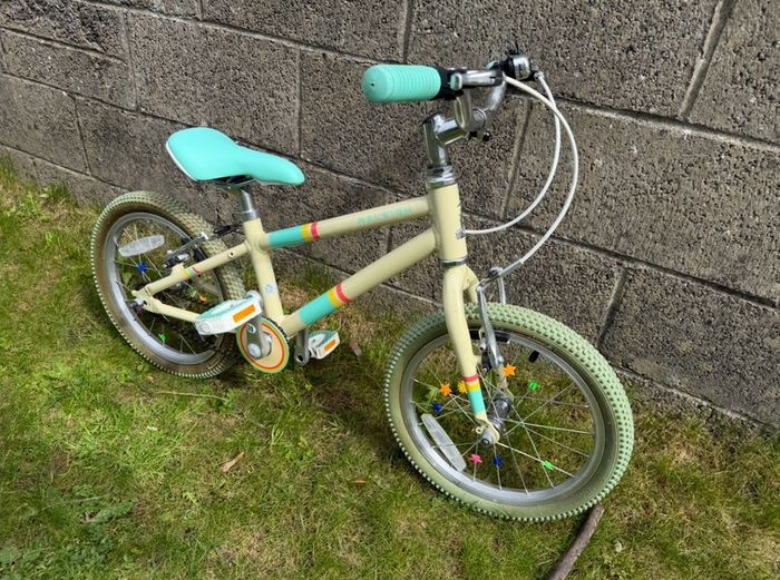 Raleigh Pop 16-inch bike