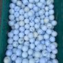 Hard mixed golf balls Image 2
