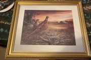 Birds framed picture print