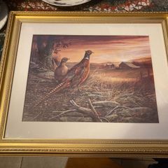 Birds framed picture print