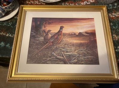 Birds framed picture print