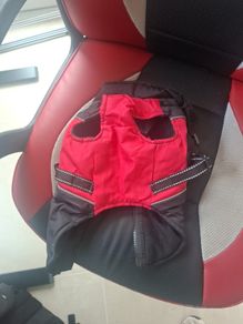 dog harness