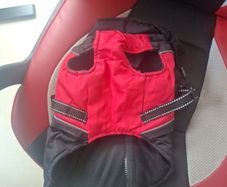 dog harness