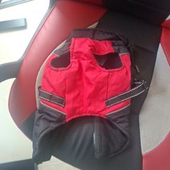 dog harness