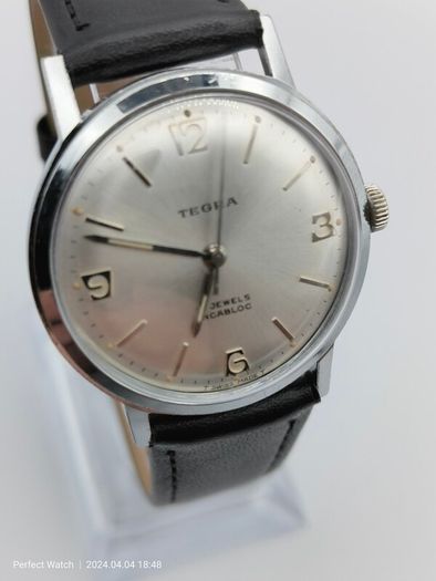 Vintage Swiss Tegra Watch