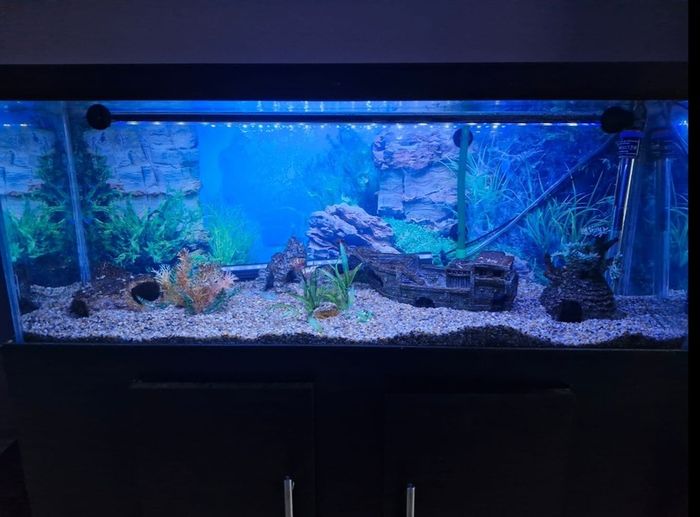 110L Fish Tank / Aquarium & Stand