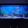 110L Fish Tank / Aquarium & Stand Image 2