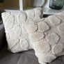 2 Cushions Image 2