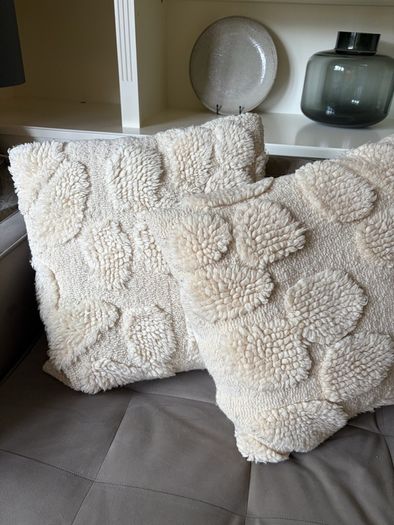 2 Cushions