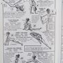 The Art of Shen Ku Image 6