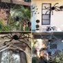 90cm Giant Spider Halloween Decorations - Giant Halloween Spider for Halloween Decorations Outdoor Fake Spiders - Halloween Giant Spider Big Spider Halloween Image 4