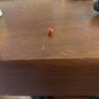 gold kids earrings-ladybirds Image 3