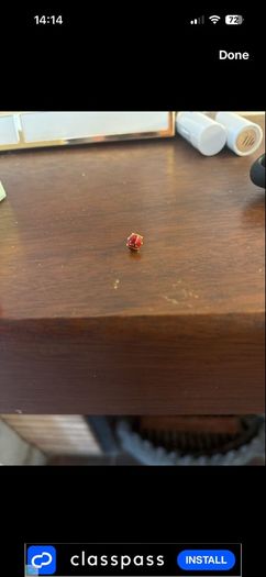 gold kids earrings-ladybirds