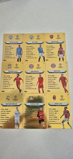 Match Attax 24/25 Gold Edge Cards - Full Set