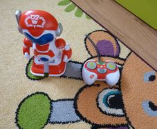 Chad vally robot