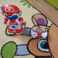 Chad vally robot