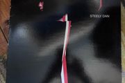 Steely Dan vinyl lp